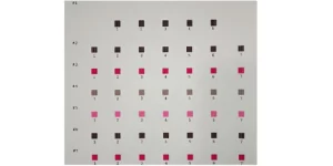 Vertical Head Alignment