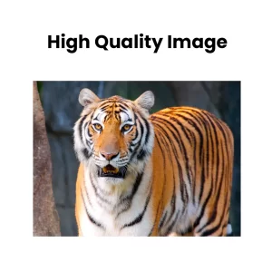 High-Quality-Images