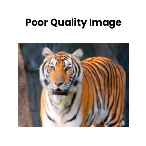Poor-Quality-Images